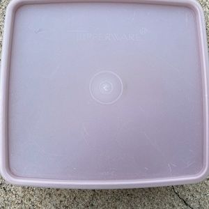 Vintage Tupperware Sandwich Keeper